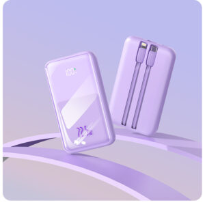 Power Bank Fast Charging 20,000 mAh with 2 Cable