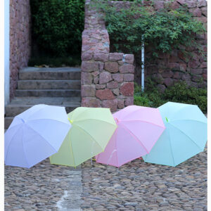 UM-LG-05 ร่มยาวโปร่งใส